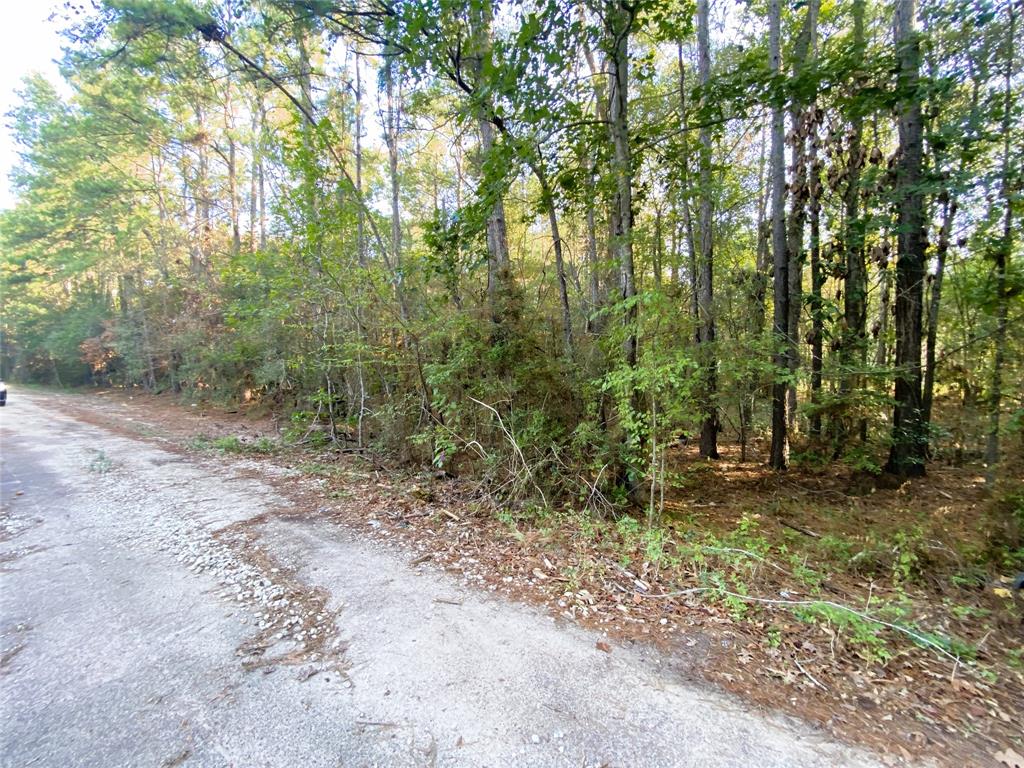 19065 Lincoln Street, New Caney, Texas image 10