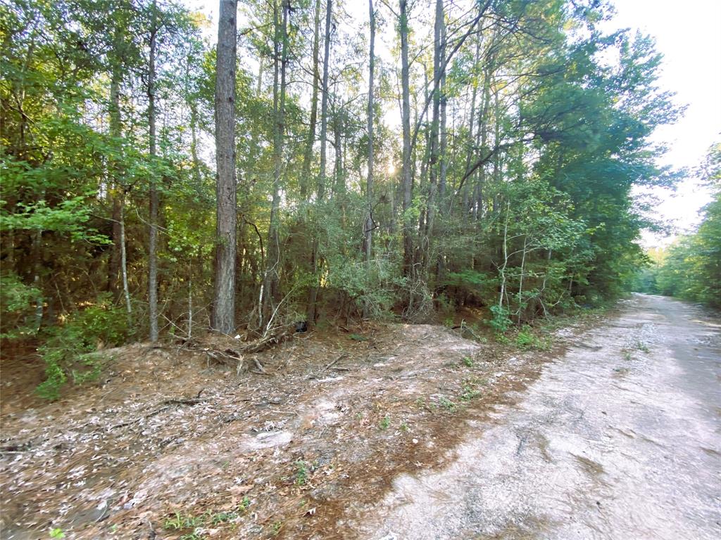 19065 Lincoln Street, New Caney, Texas image 5
