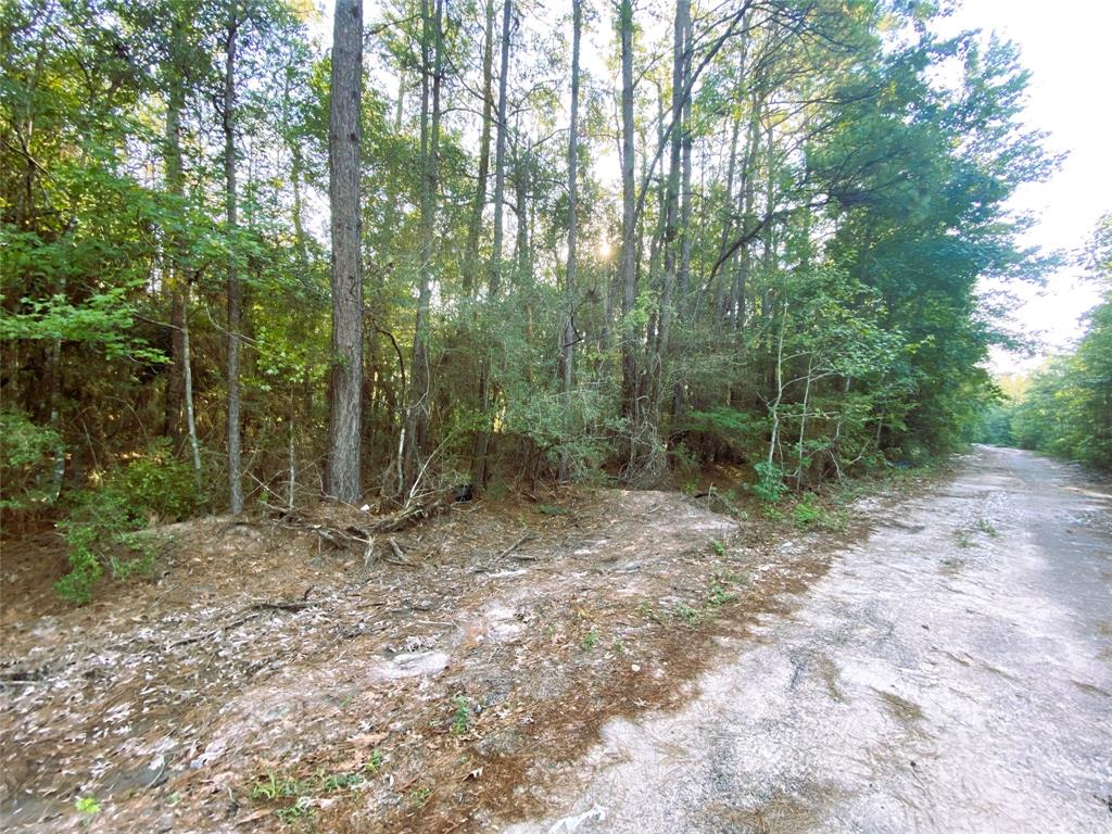 19065 Lincoln Street, New Caney, Texas image 4