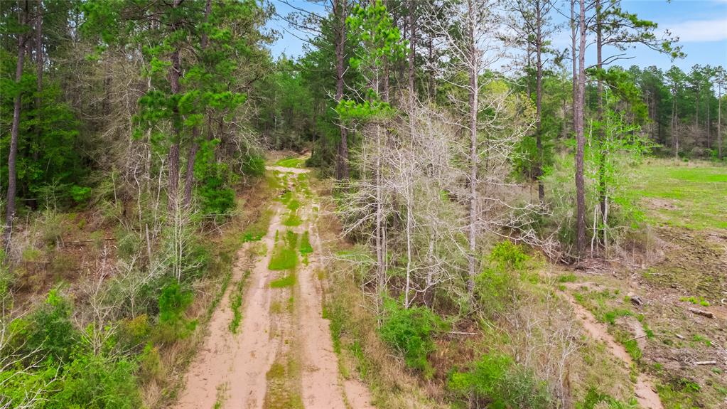 Tract 1 Josserand Road, Groveton, Texas image 3