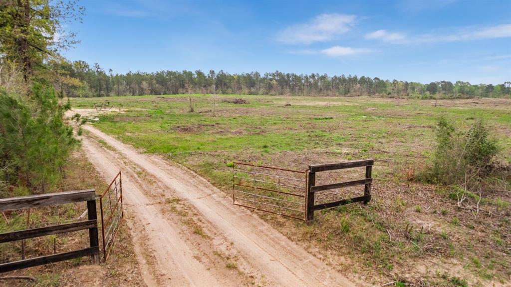 Tract 1 Josserand Road, Groveton, Texas image 7