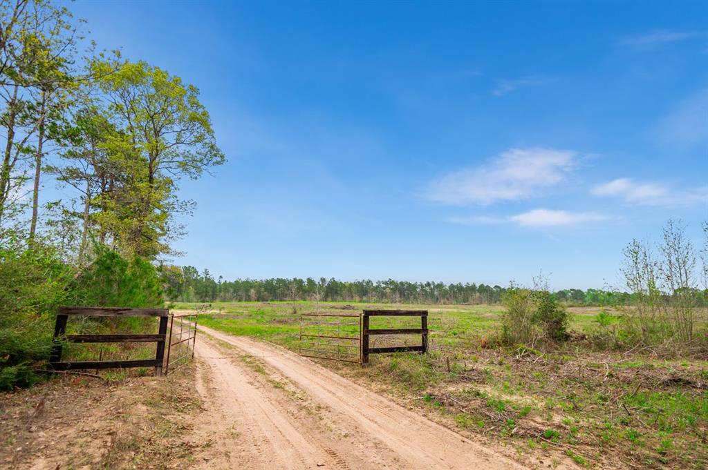 Tract 1 Josserand Road, Groveton, Texas image 2