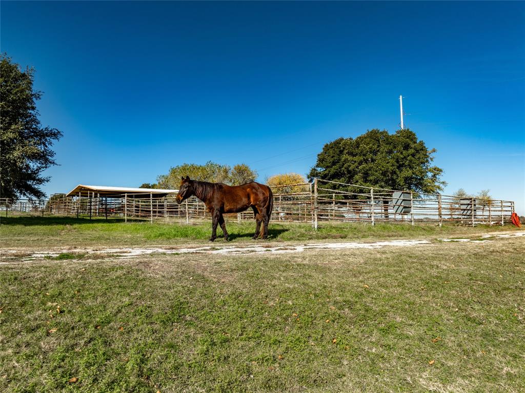 7023 Wolters Road, Schulenburg, Texas image 50