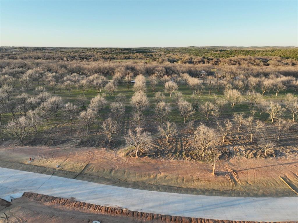 2142 E Landings, Granbury, Texas image 1