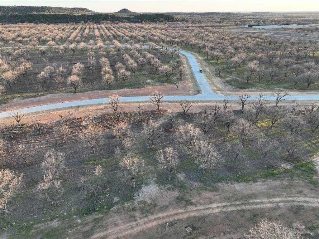 2142 E Landings, Granbury, Texas image 6