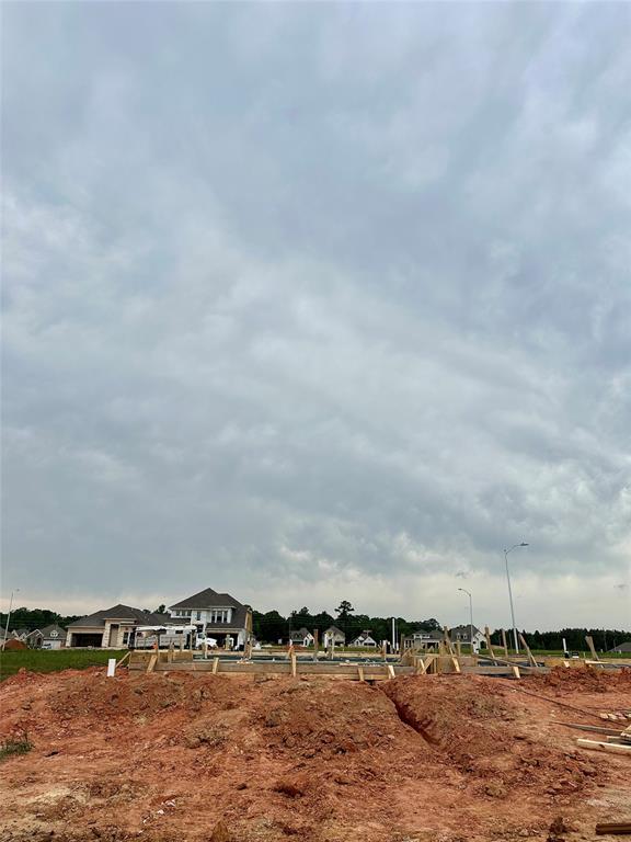 42651 Reminiscent Lane, Magnolia, Texas image 3