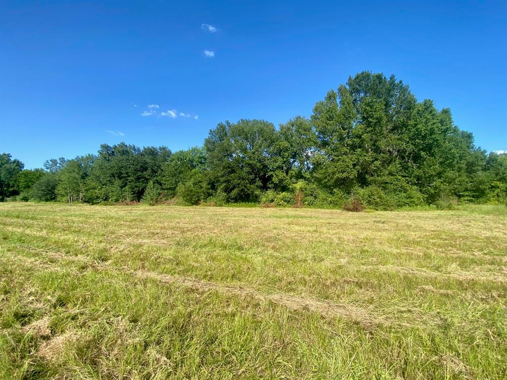 LOT #135 Jb Mcduff Drive, Crockett, Texas image 6