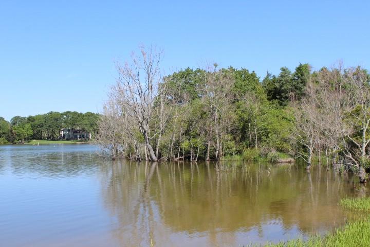 Lot 4 Chickasaw Trail