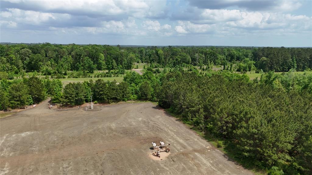TBD J Hickman Road, Leggett, Texas image 4