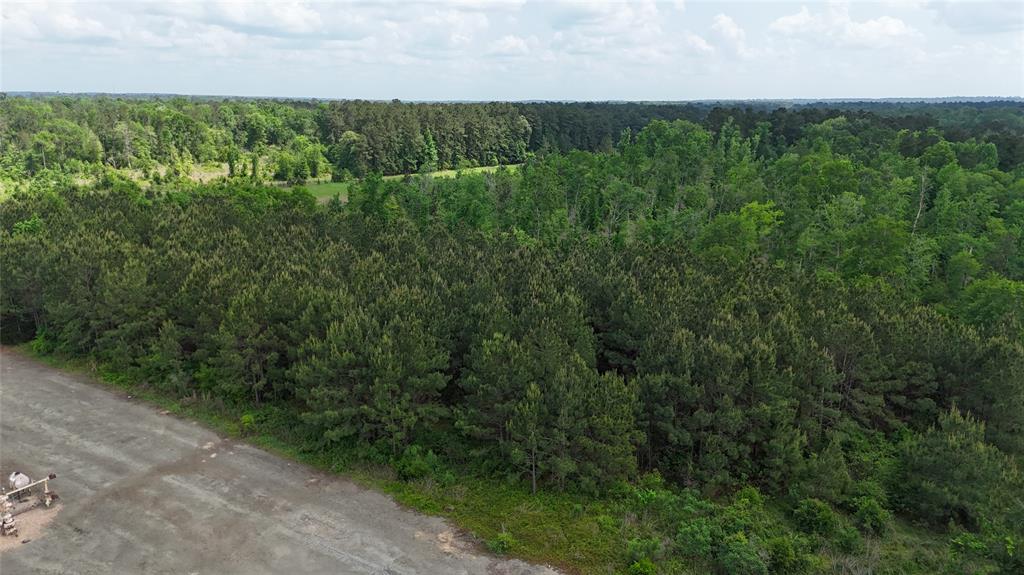 TBD J Hickman Road, Leggett, Texas image 7