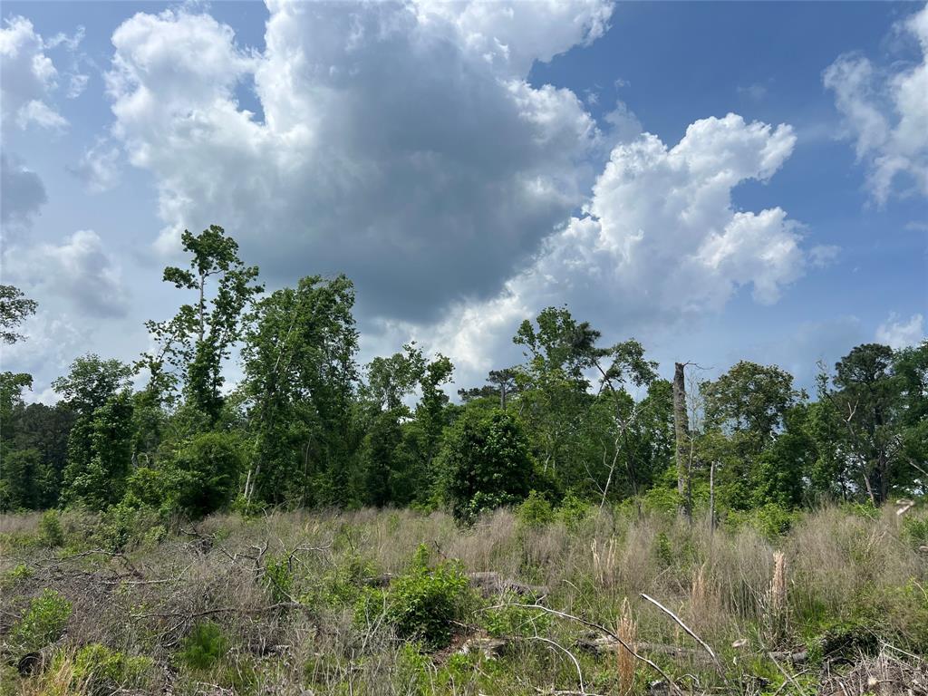 TBD J Hickman Road, Leggett, Texas image 14