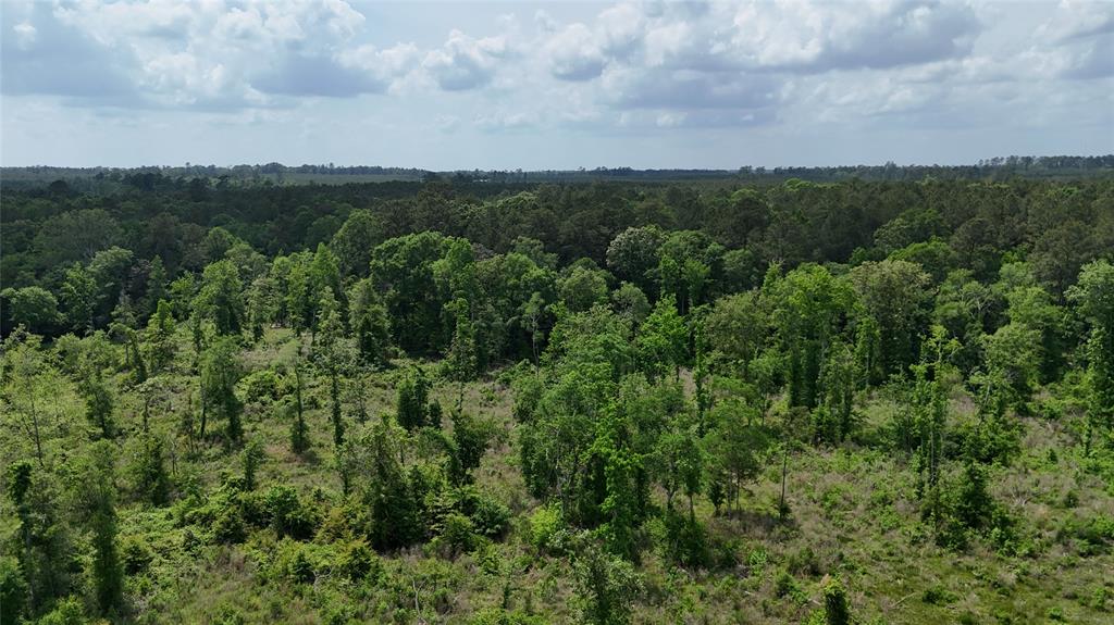 TBD J Hickman Road, Leggett, Texas image 3