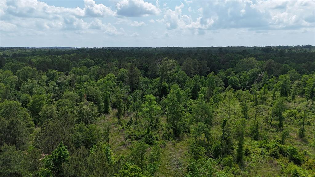 TBD J Hickman Road, Leggett, Texas image 2