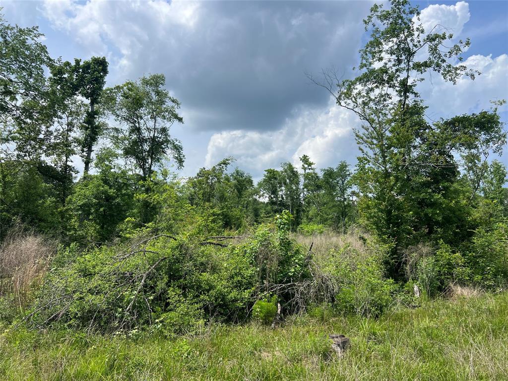 TBD J Hickman Road, Leggett, Texas image 13