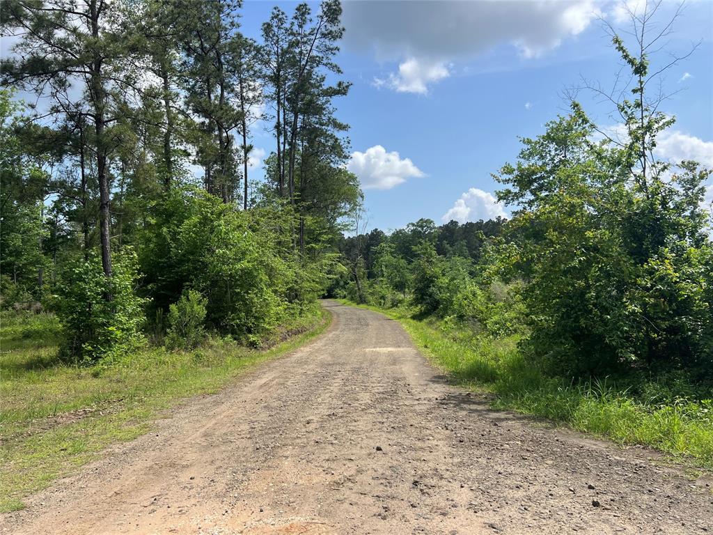 TBD J Hickman Road, Leggett, Texas image 16