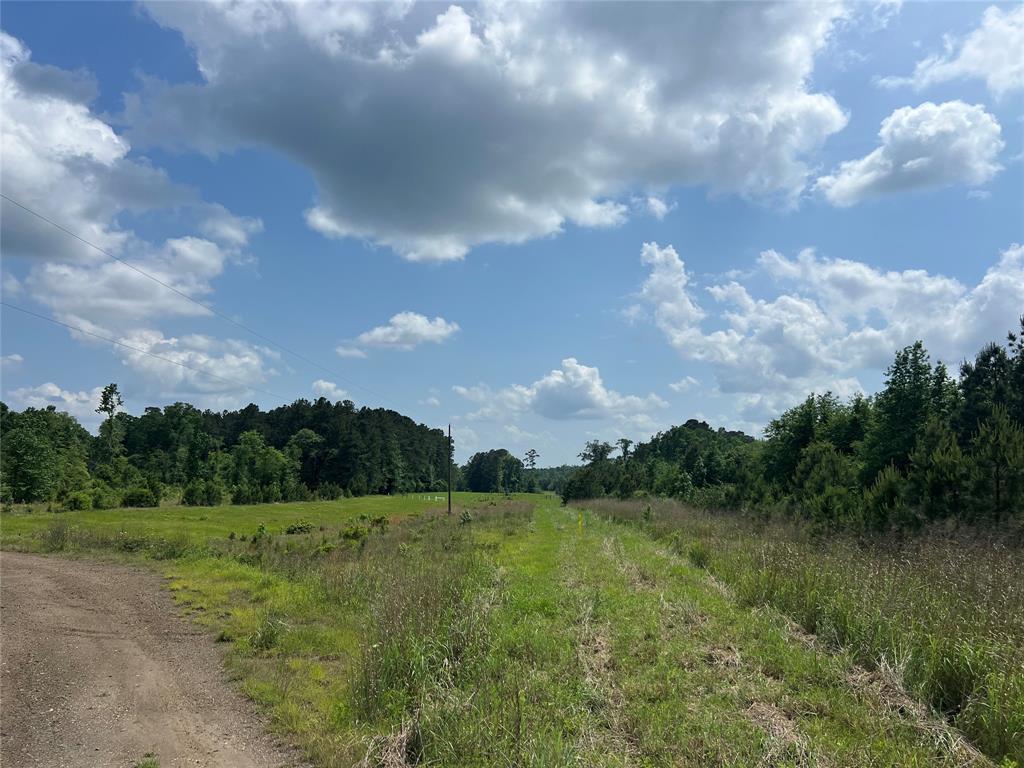 TBD J Hickman Road, Leggett, Texas image 15