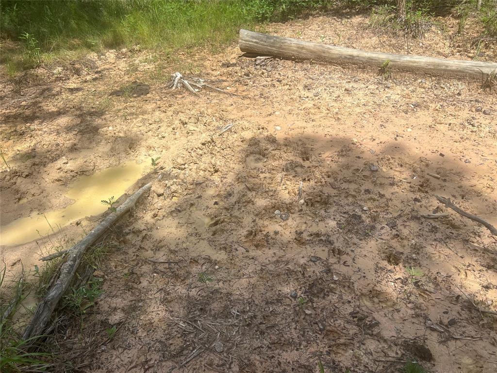 TBD J Hickman Road, Leggett, Texas image 10