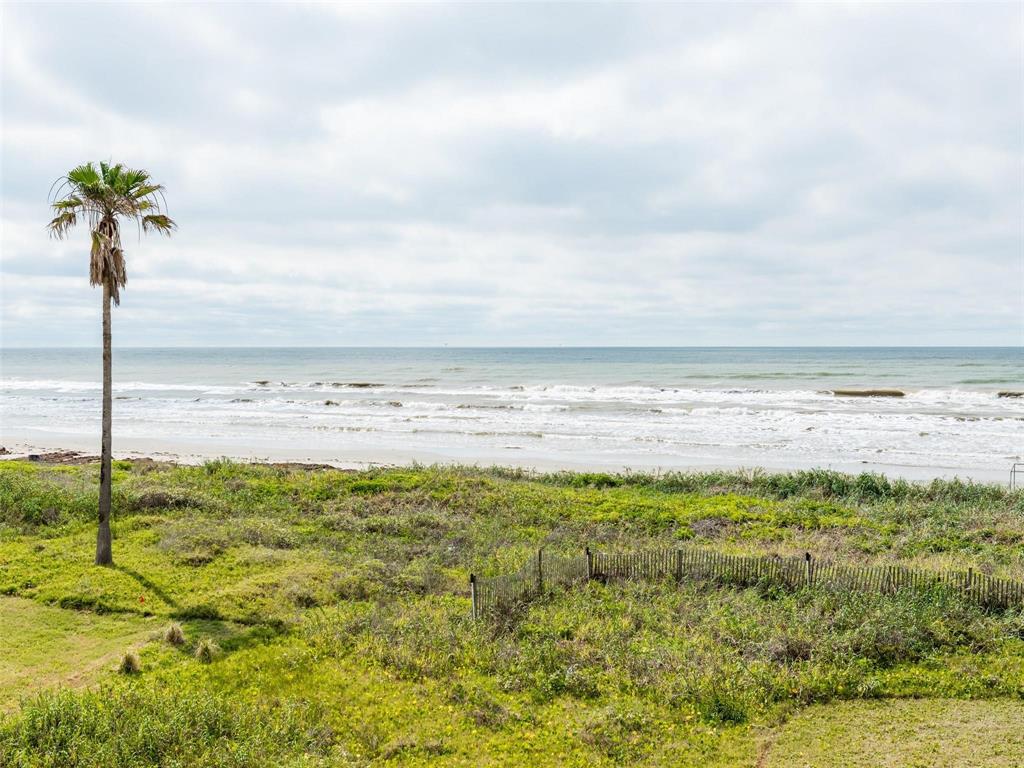 4242 Sandpiper Lane, Galveston, Texas image 19