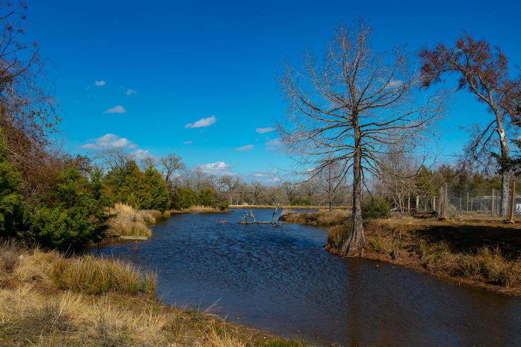 8251 Edge School House Road, Bryan, Texas image 43