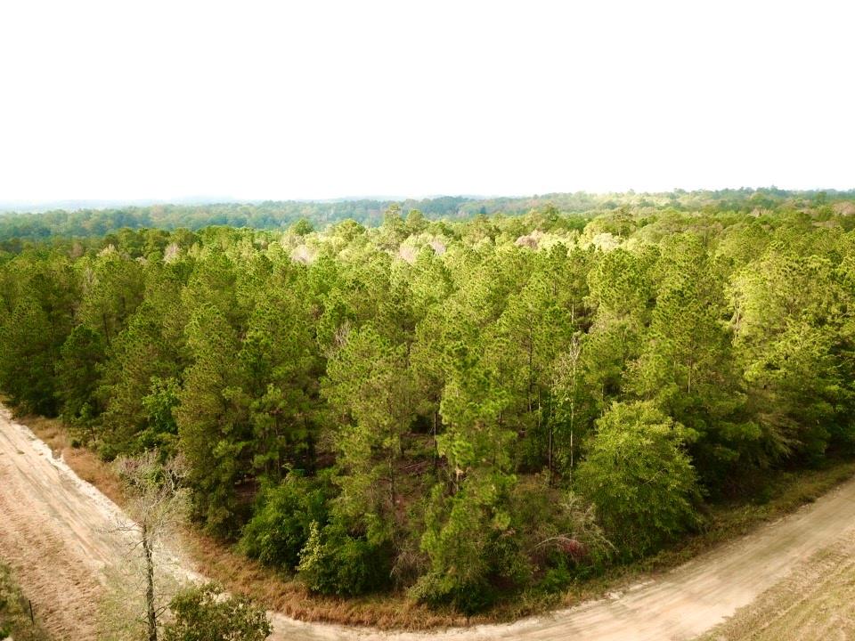 TBD County Road 2310, Woodville, Texas image 1