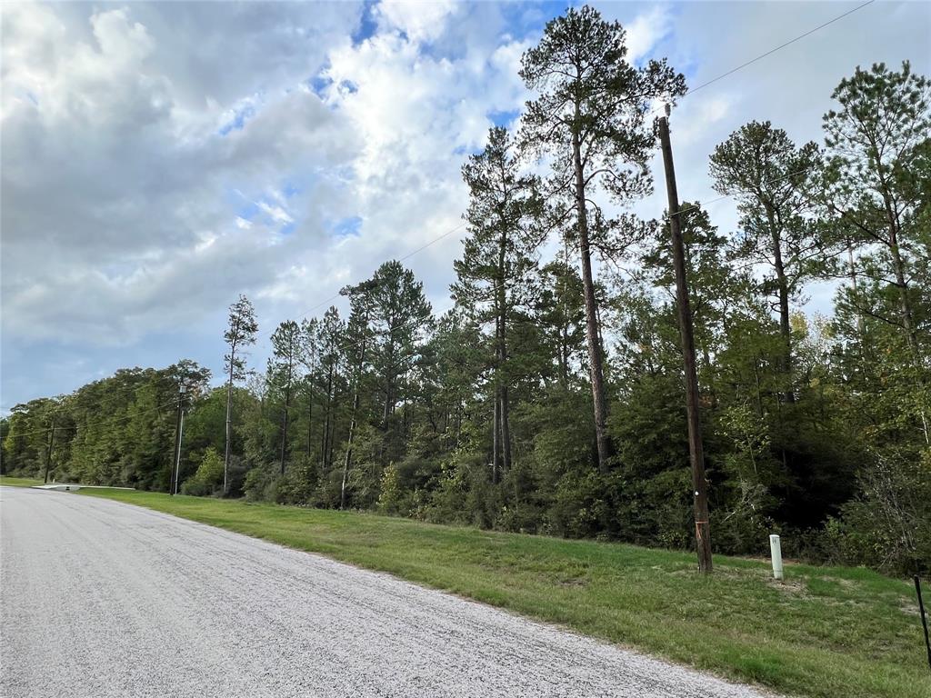 Hereford Trail, Huntsville, Texas image 1