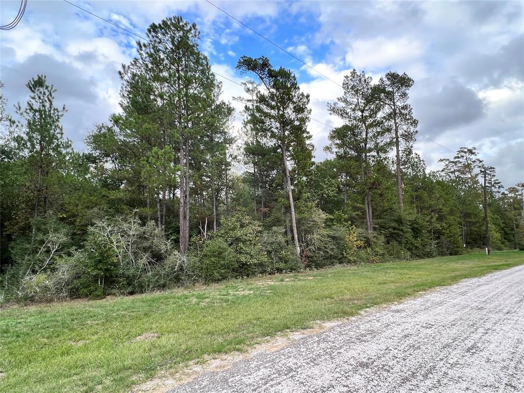 Hereford Trail, Huntsville, Texas image 3