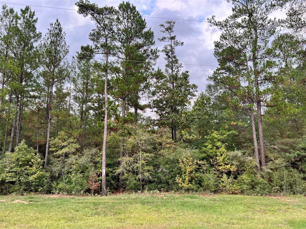 Hereford Trail, Huntsville, Texas image 4