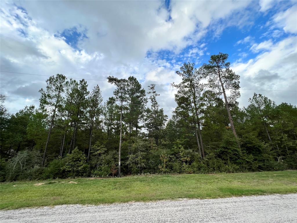 Hereford Trail, Huntsville, Texas image 2