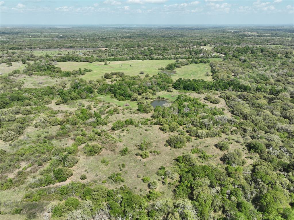 15553 Mccraven School Road, Washington, Texas image 30