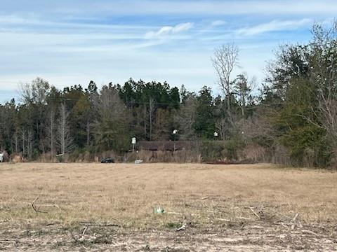 4108 County Road 784, Buna, Texas image 3