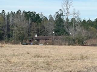 4108 County Road 784, Buna, Texas image 1