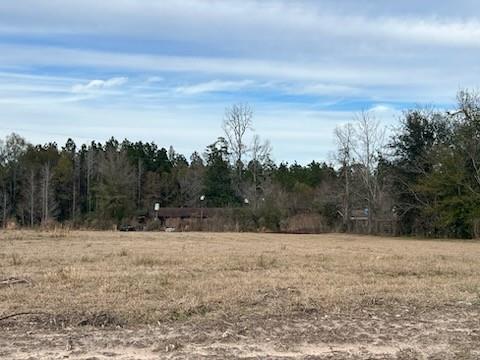 4108 County Road 784, Buna, Texas image 4