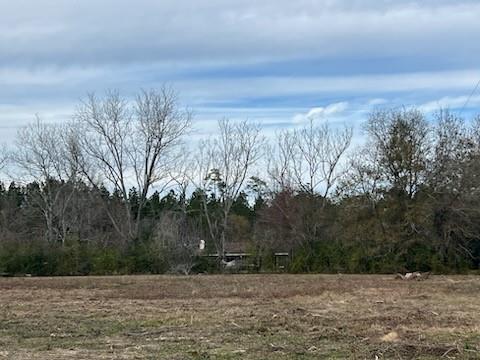 4108 County Road 784, Buna, Texas image 2