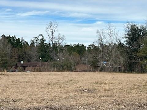 4108 County Road 784, Buna, Texas image 5