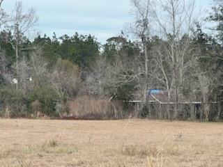 4108 County Road 784, Buna, Texas image 6