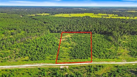 Photo of TBD Cherokee Trail, Lovelady, TX 75851 (MLS # 72140634) Photo of TBD Cherokee Trail, Lovelady, TX 75851 (MLS # 72140634)