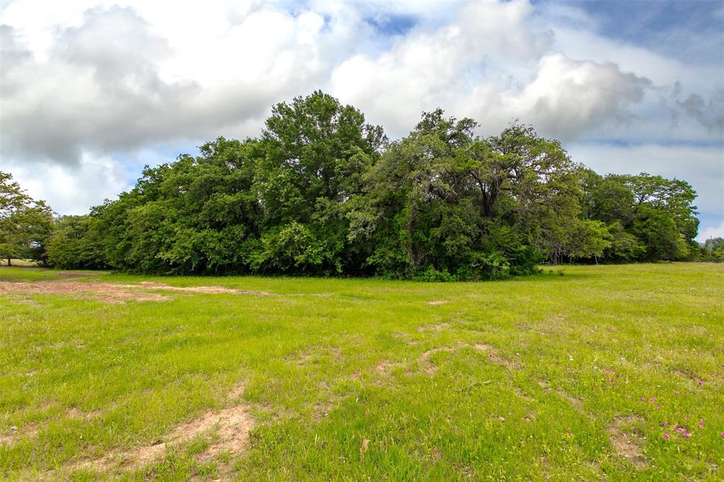 160 Green Acres Lane, Milano, Texas image 7