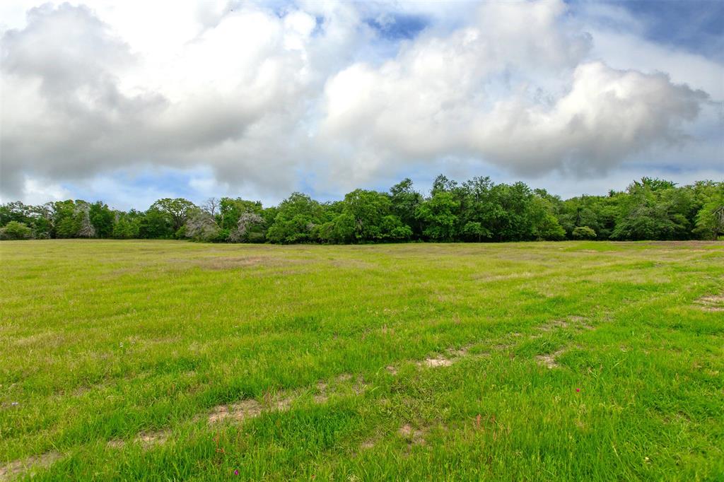 160 Green Acres Lane, Milano, Texas image 8