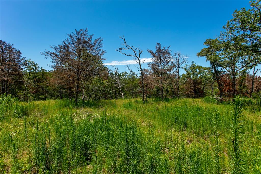 335 Berry Lane, Somerville, Texas image 6