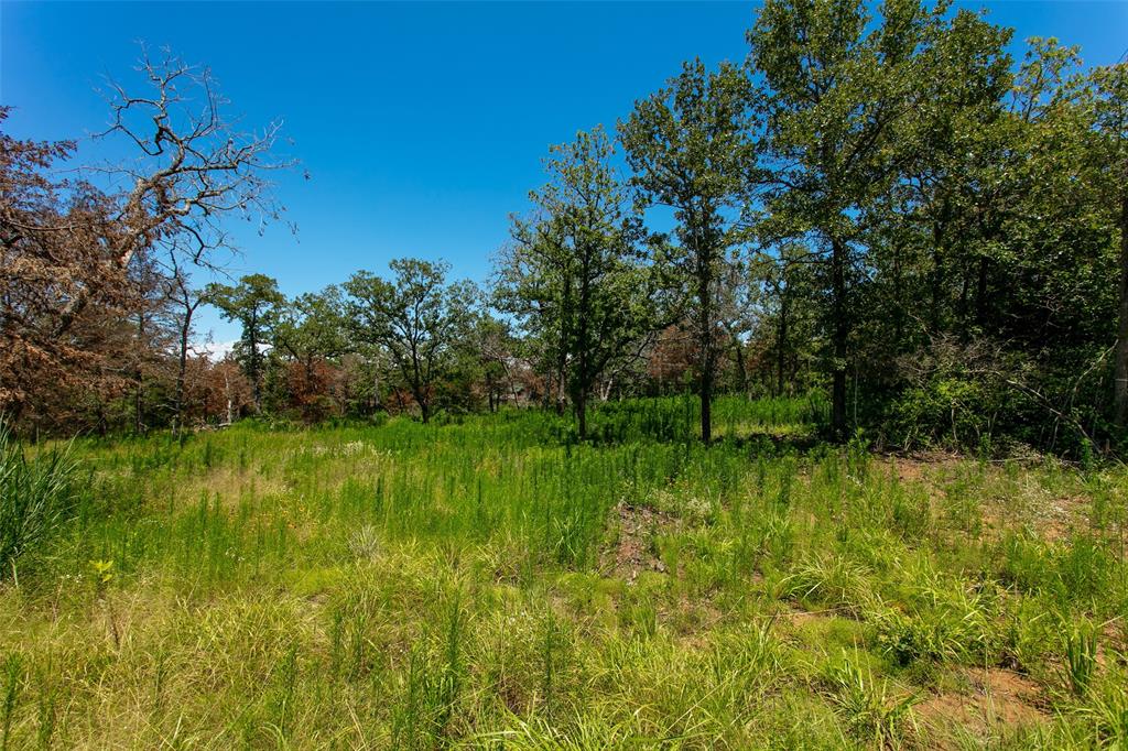 335 Berry Lane, Somerville, Texas image 3