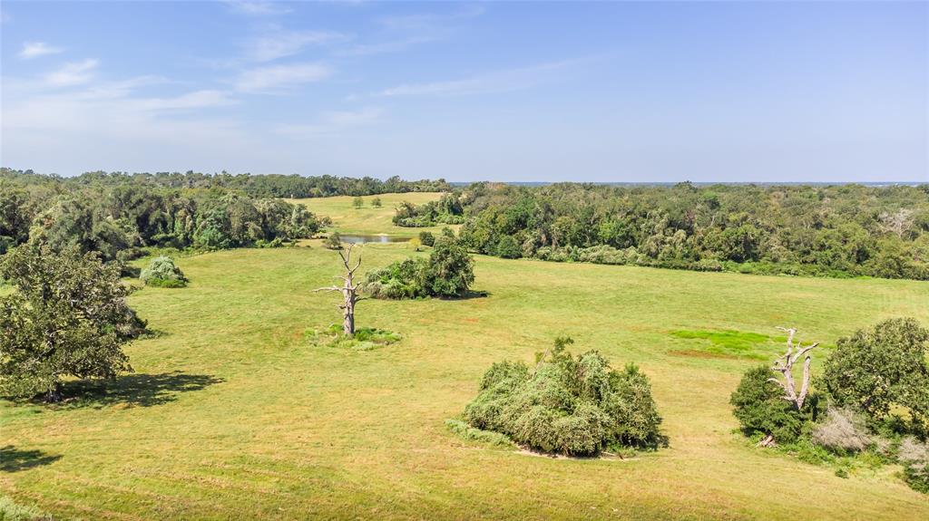 Fm 1146, Marquez, Texas image 6