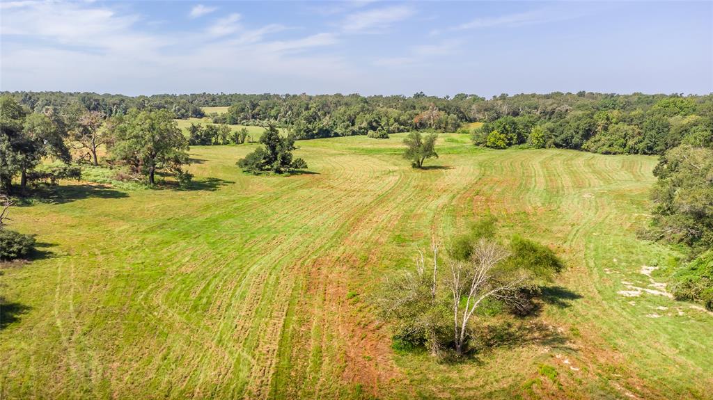 Fm 1146, Marquez, Texas image 4