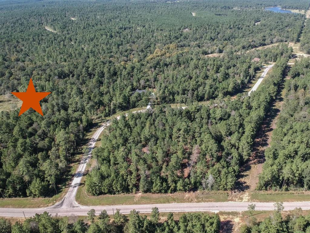777 Red Hawk Road, Huntsville, Texas image 3