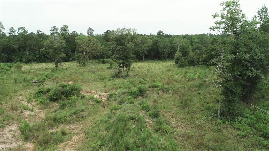 777 Red Hawk Road, Huntsville, Texas image 2