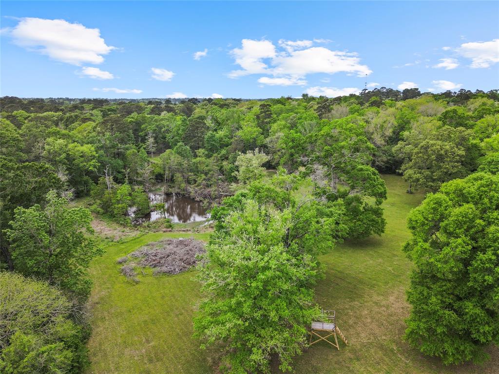 12056 Forest Glen Drive