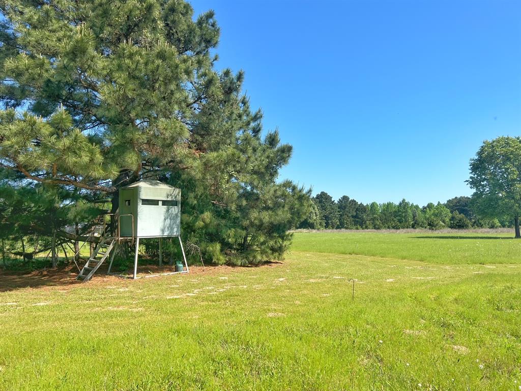 11986 Cr 112, Centerville, Texas image 31