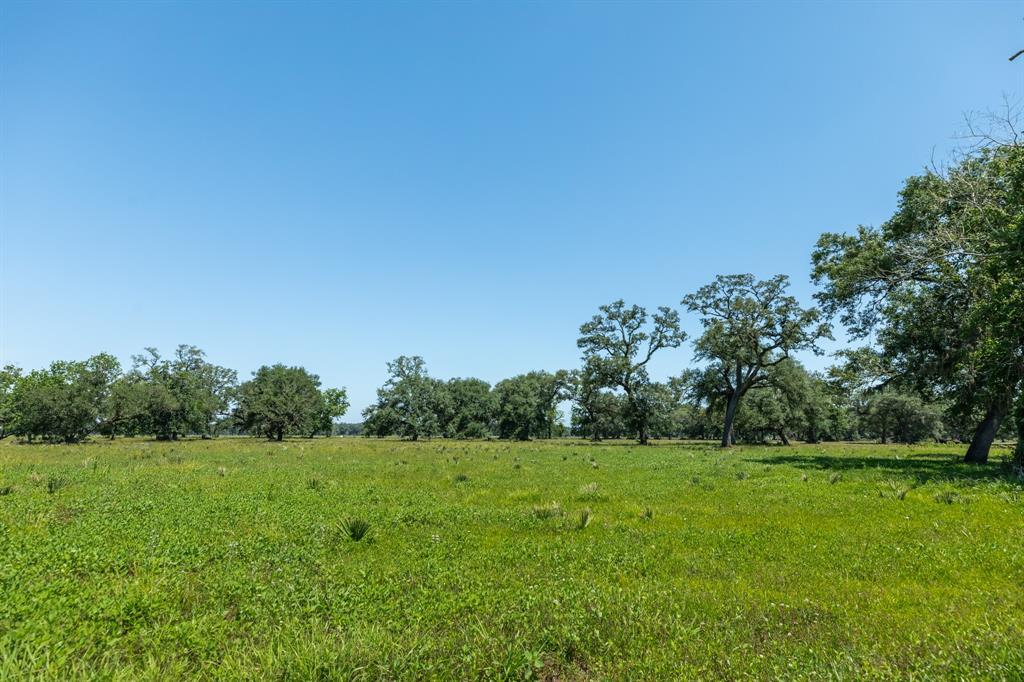 425 Valley Oaks Drive