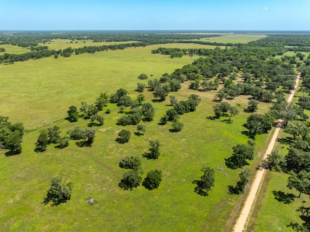 425 Valley Oaks Drive Dr, Van Vleck, Texas image 6