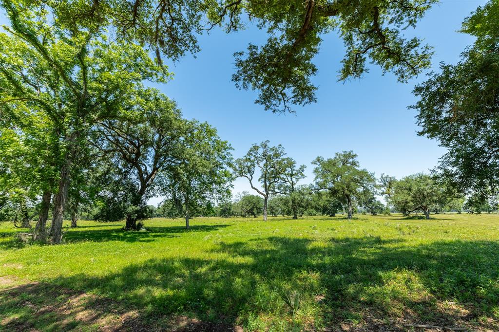 425 Valley Oaks Drive