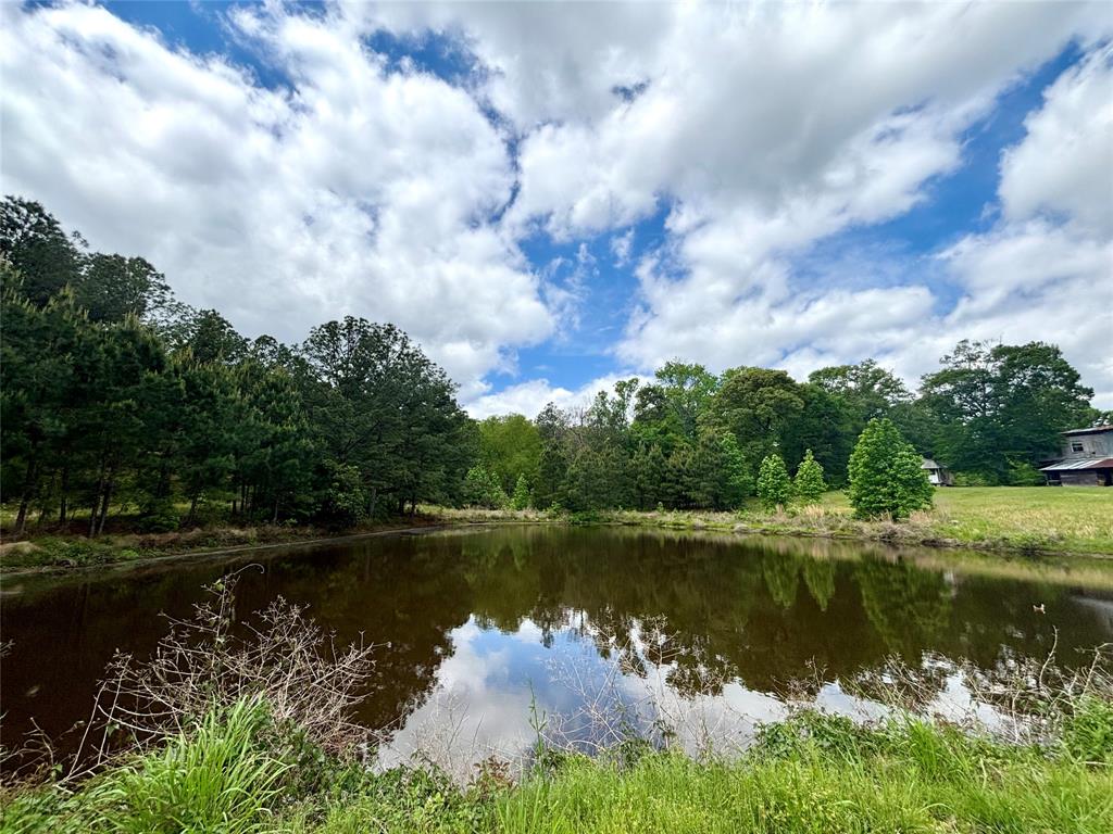 8291 County Road 3725, Colmesneil, Texas image 18